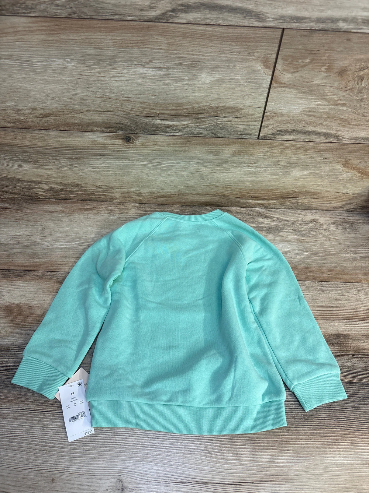 Mint green kids sweatshirt, size 5T, laid flat on wood floor with tag visible — great for children's clothing resale.