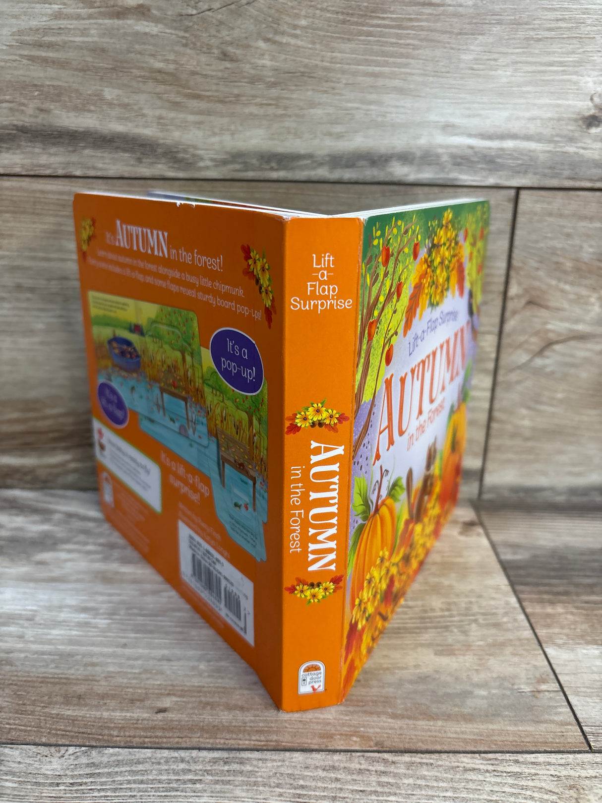 Autumn In The Forest Lift-a-Flap Board Book