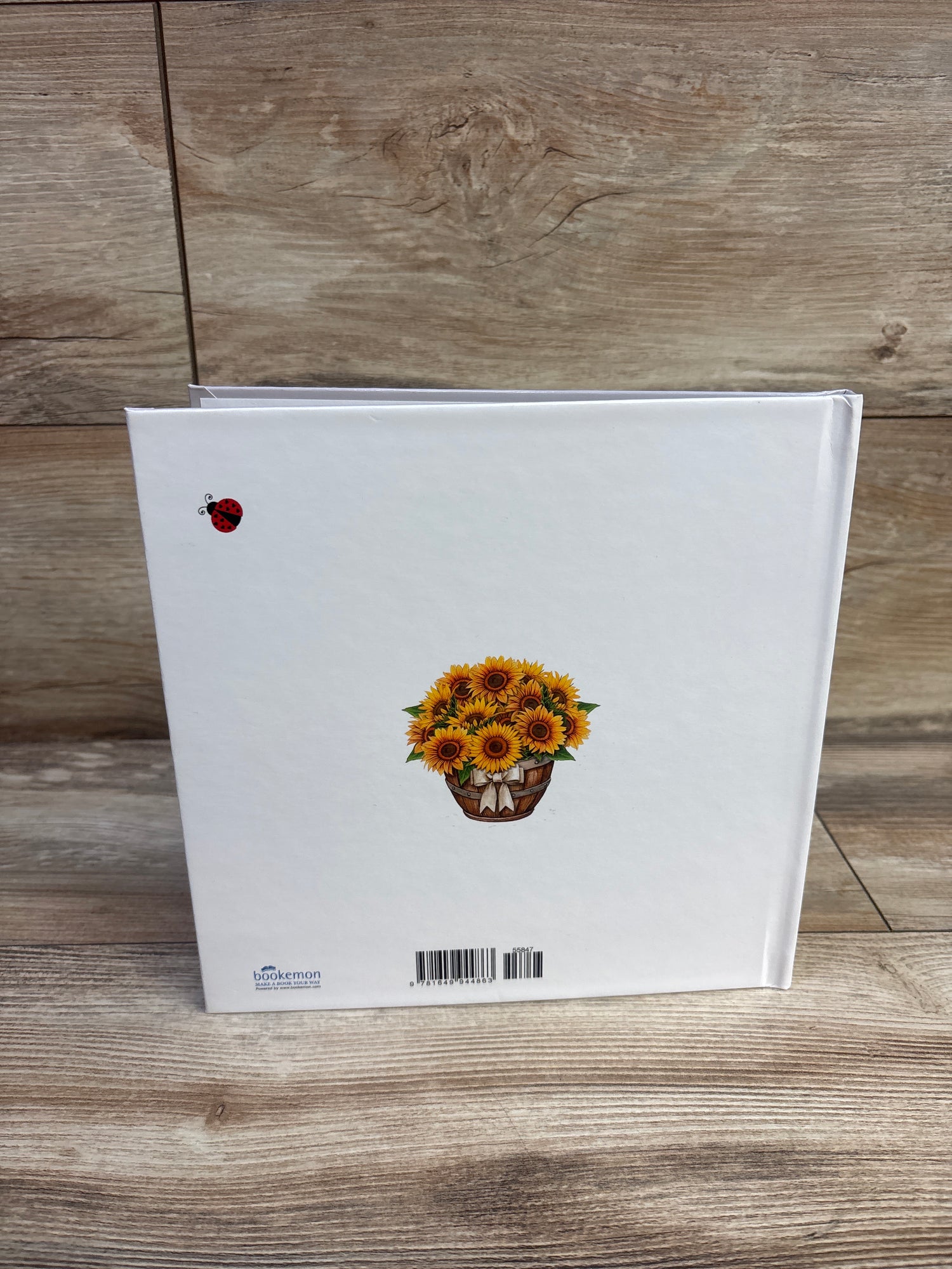 Ladybug Kisses Hardcover Book