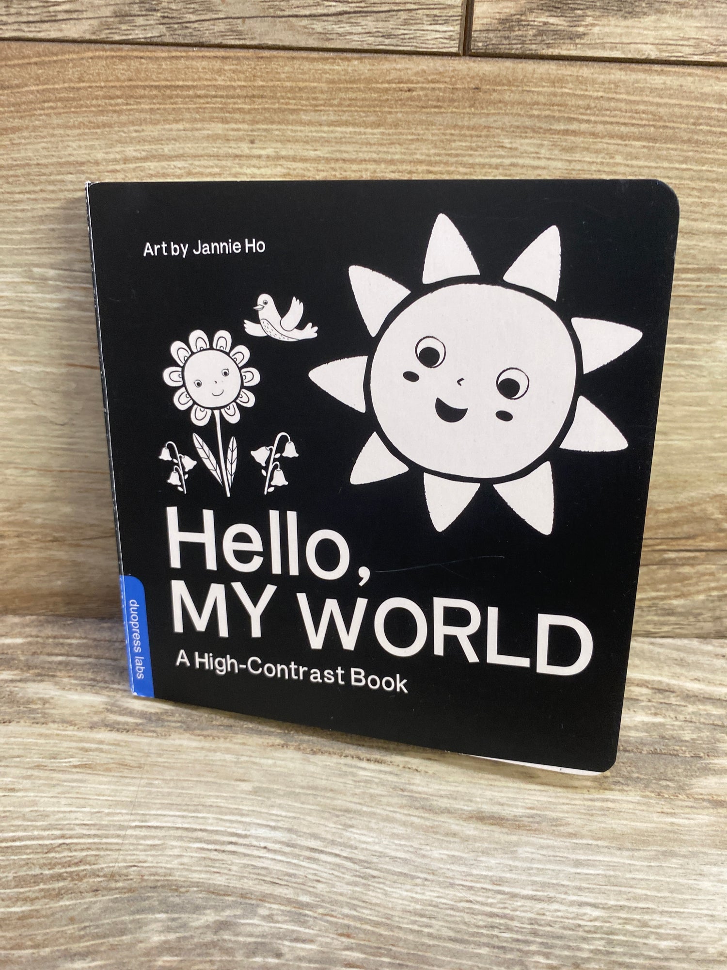 Hello, My World A High-Contrast Board Book