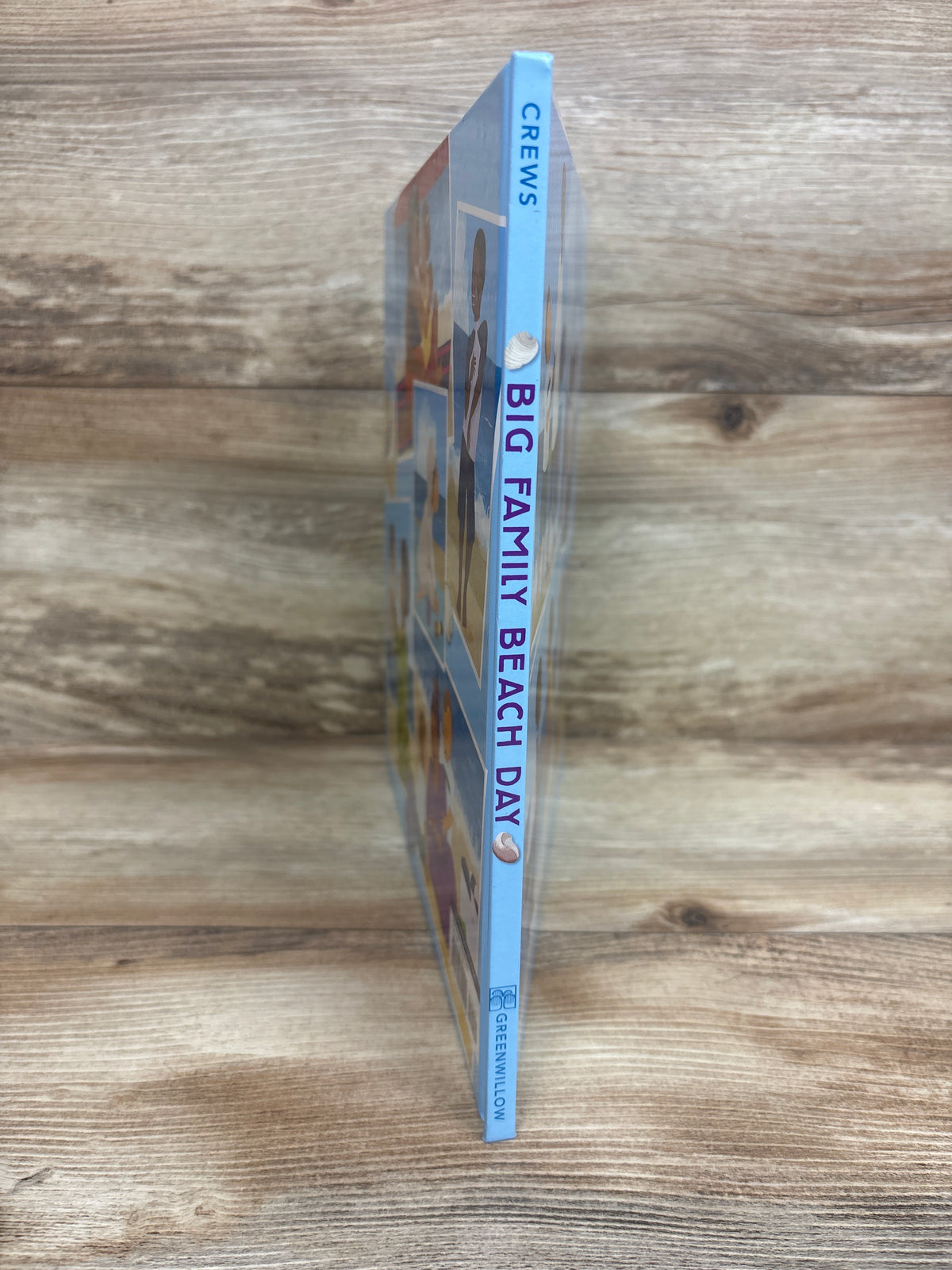 Big Family Beach Day Hardcover Book