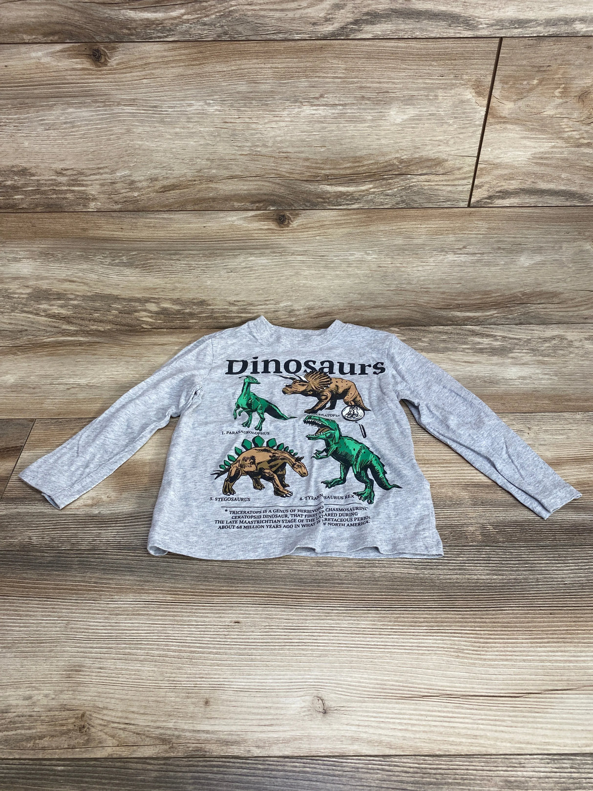 H&M Dinosaurs Shirt Grey sz 3-4T