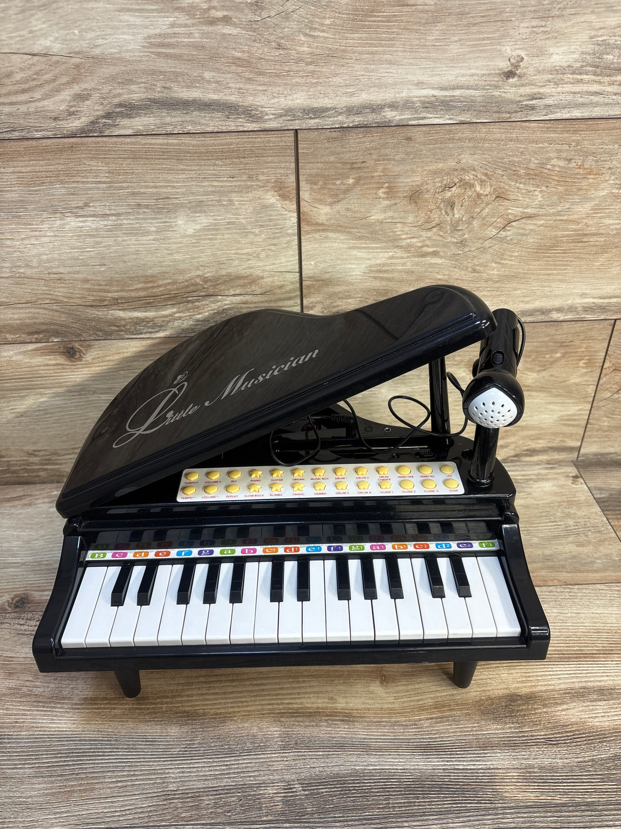 Baoli Little Musician Piano Toy