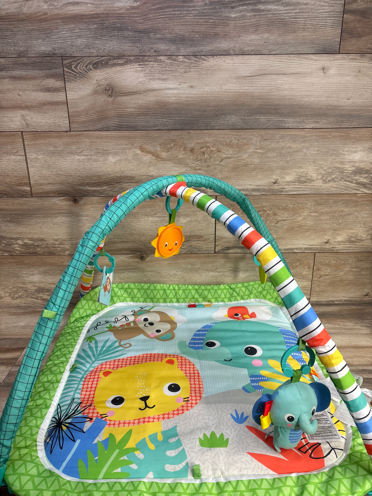 Bright Starts Wild Wiggles Baby Activity Gym & Play Mat