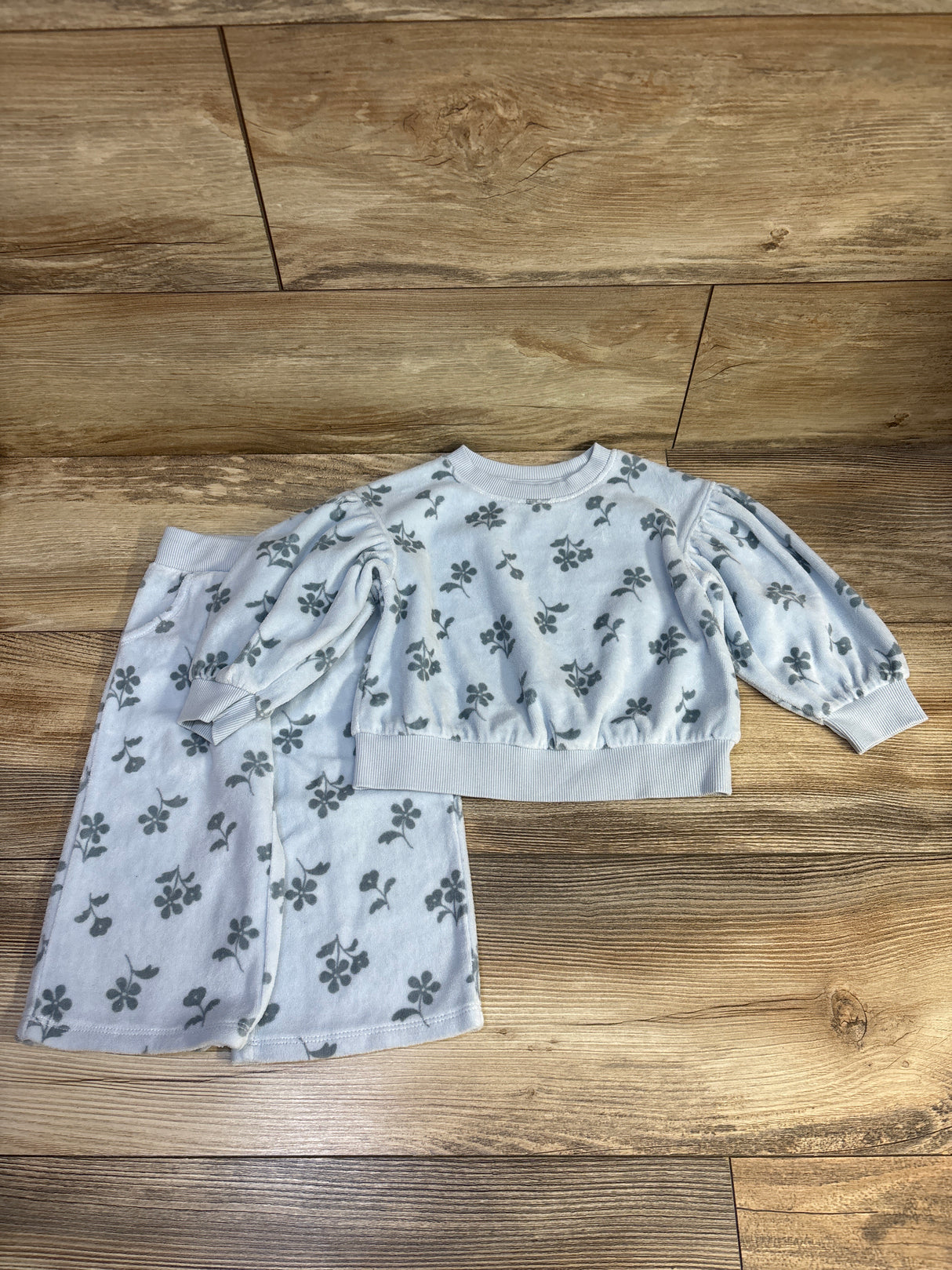 Cat & Jack 2pc Floral Sweatshirt & Joggers Set Blue sz 18m