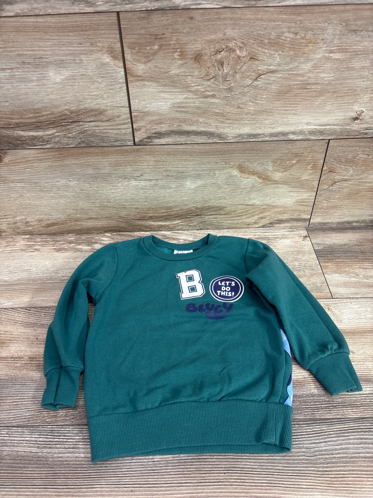 Bluey Pullover Sweatshirt Green sz 2T