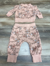 7 For All Mankind 2pc Floral Shirt & Pants Pink sz 3-6m