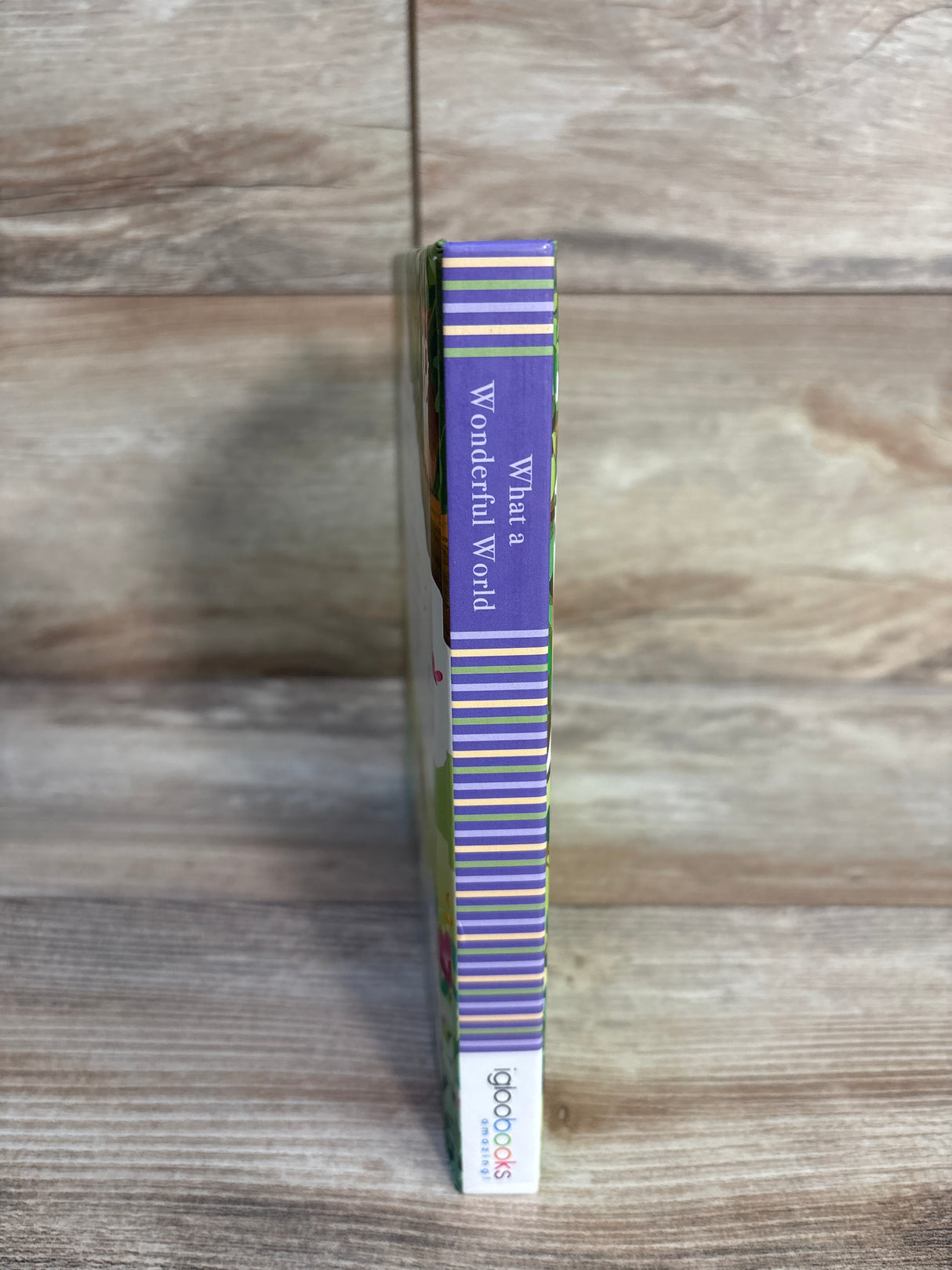 What a Wonderful World: Padded Board Book