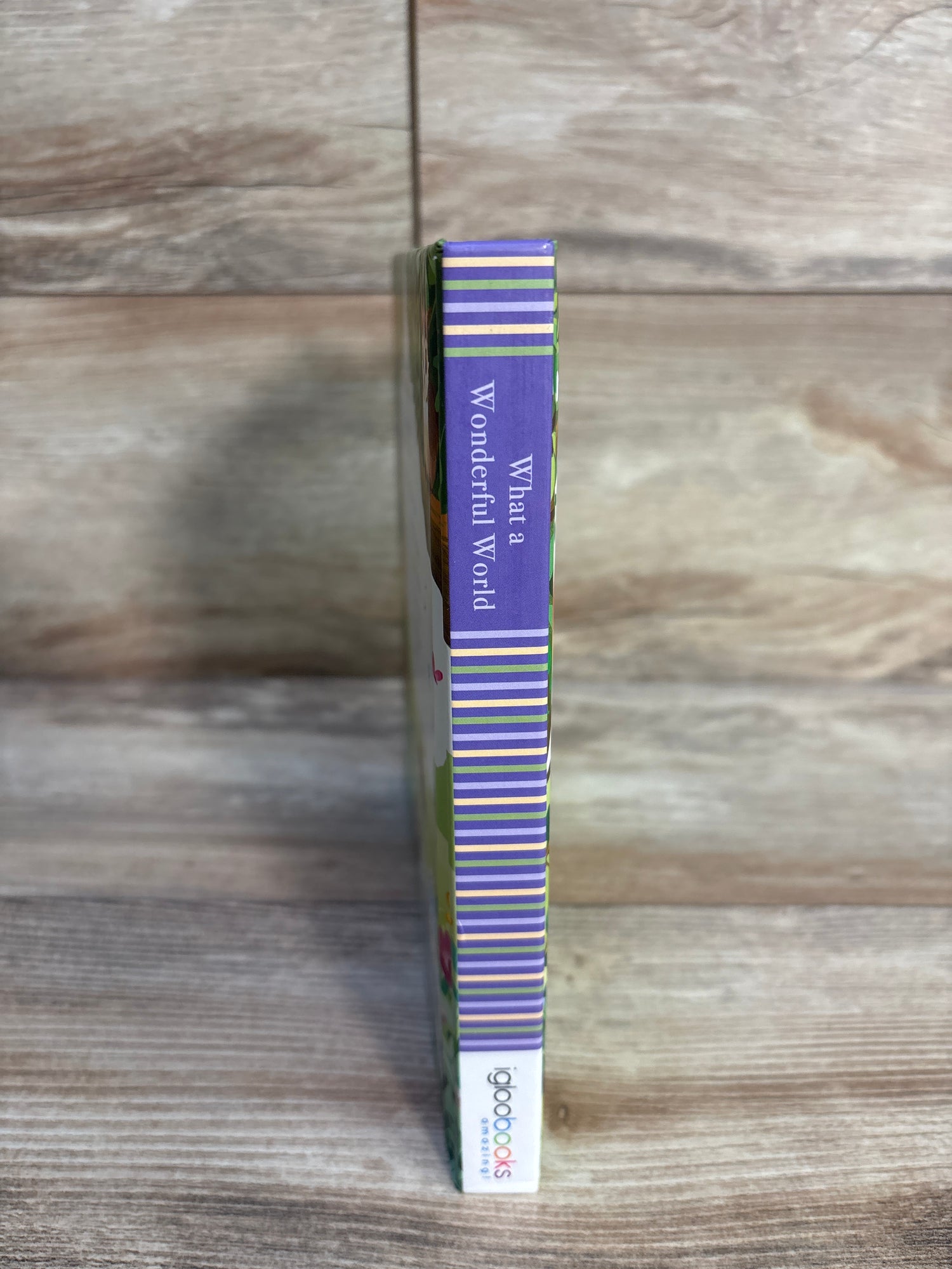 What a Wonderful World: Padded Board Book