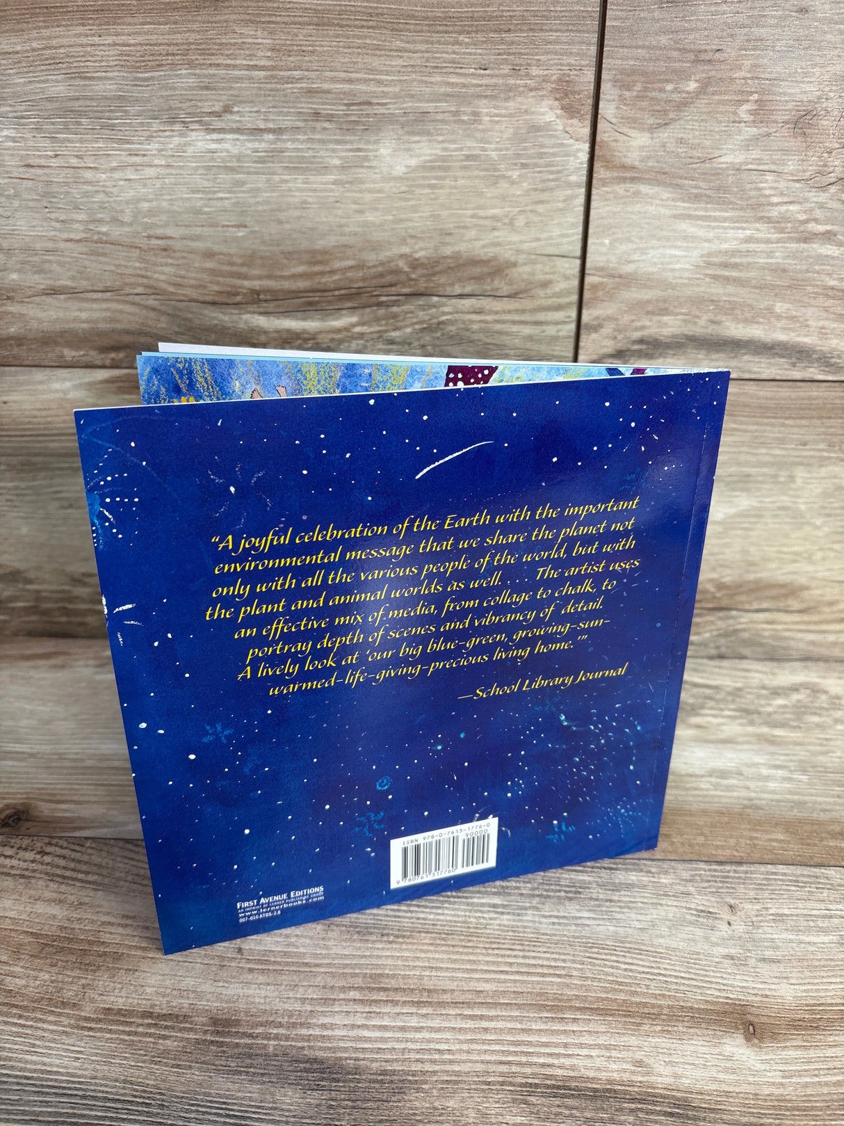 Our Big Home Paperback Book