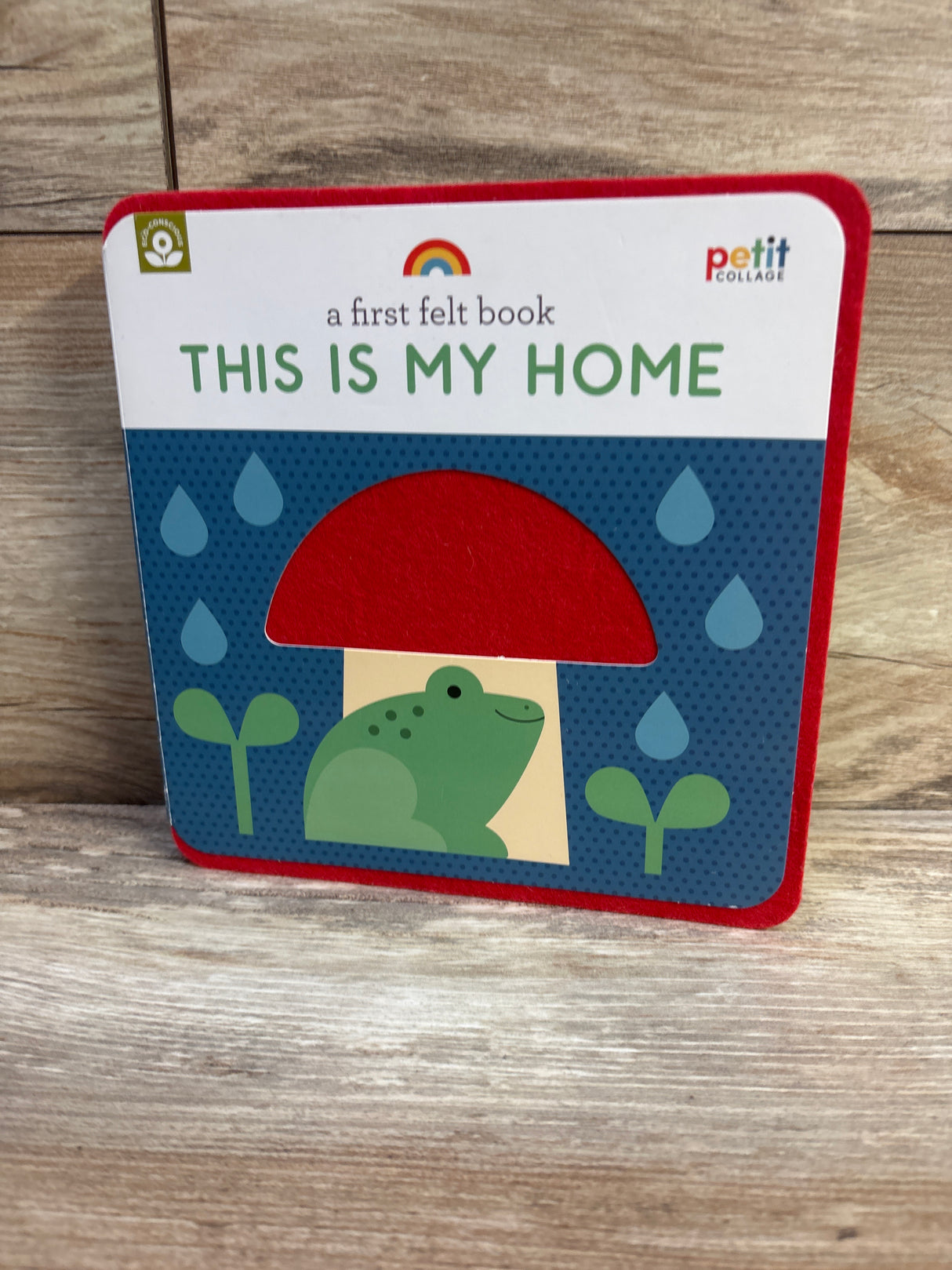 A First Felt Book: This Is My Home