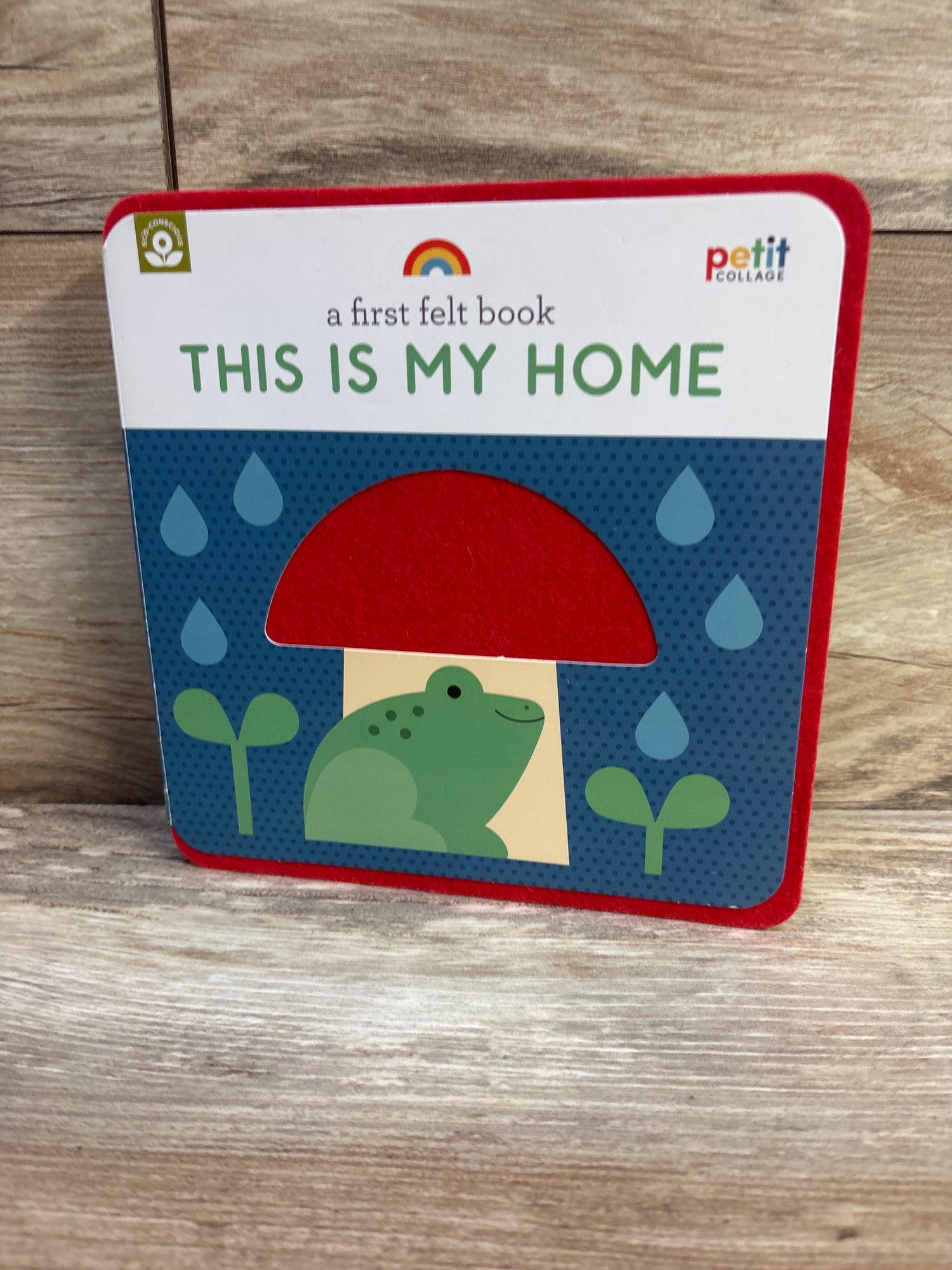 A First Felt Book: This Is My Home