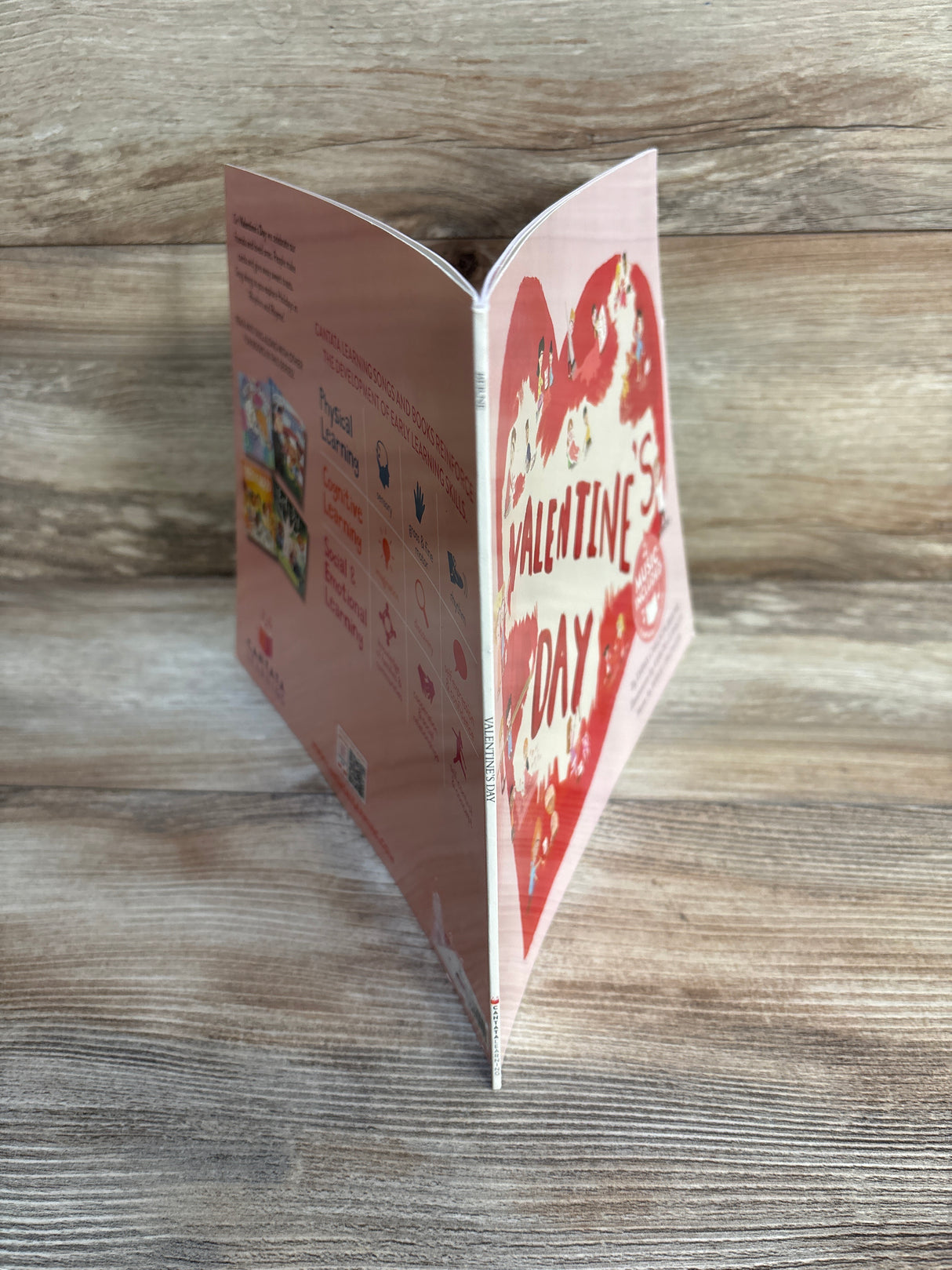 Valentine's Day Paperback Book