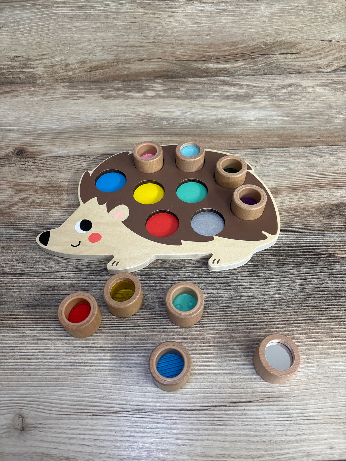 Lakeshore Explore & Match Sensory Hedgehog