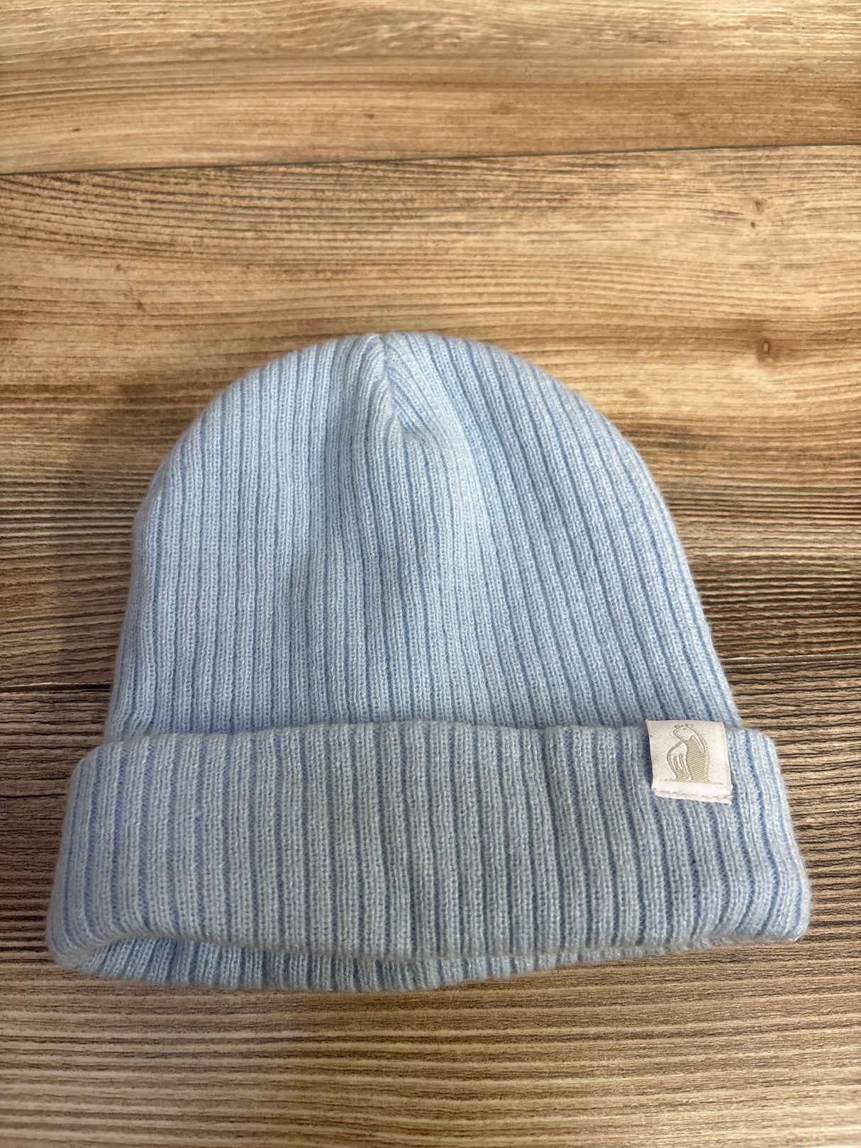 RuggedBear Lined Toddler Beanie, Blue
