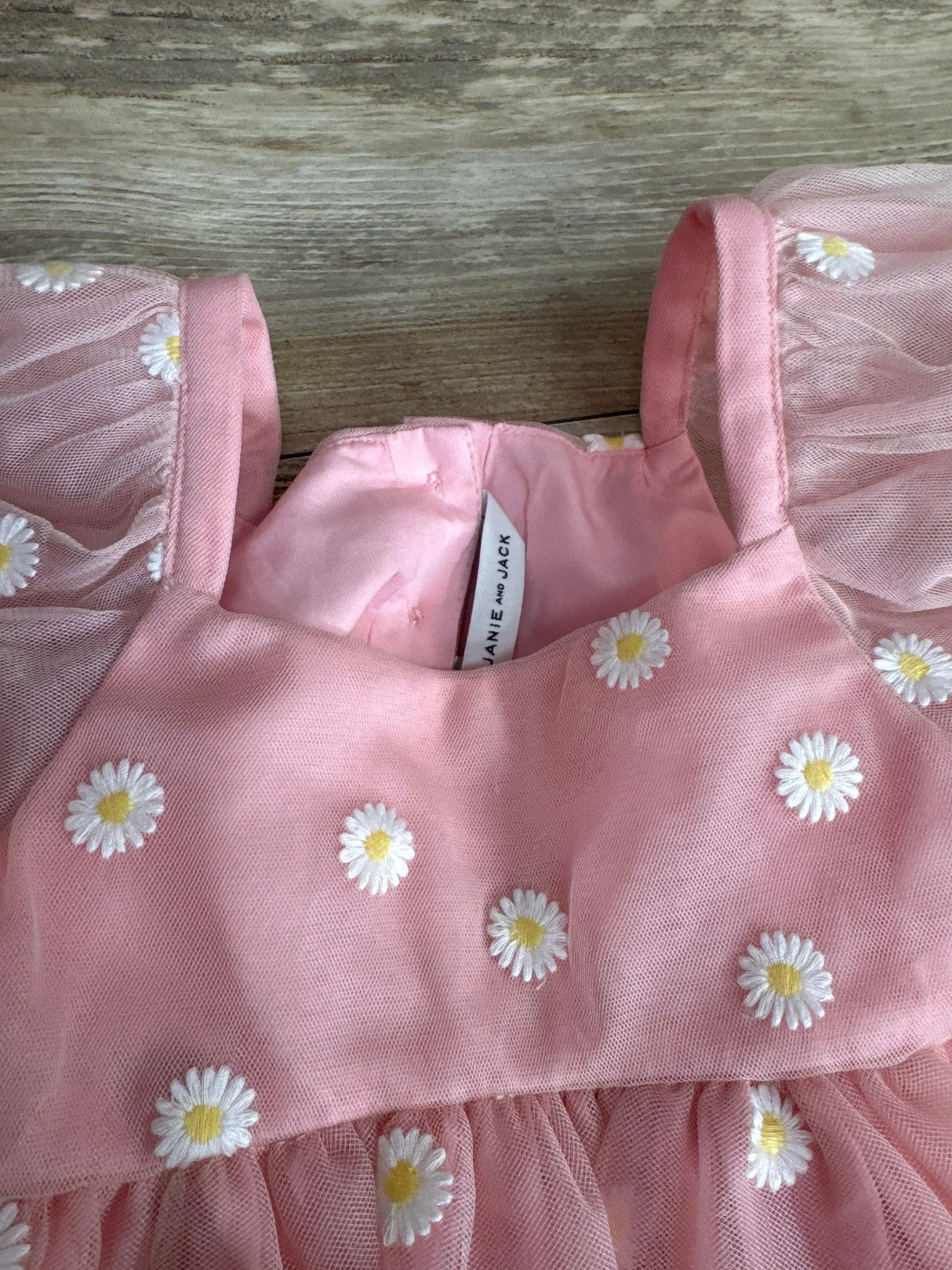 Janie & Jack Embroidered Daisy Tulle Dress Light Pink sz 4T