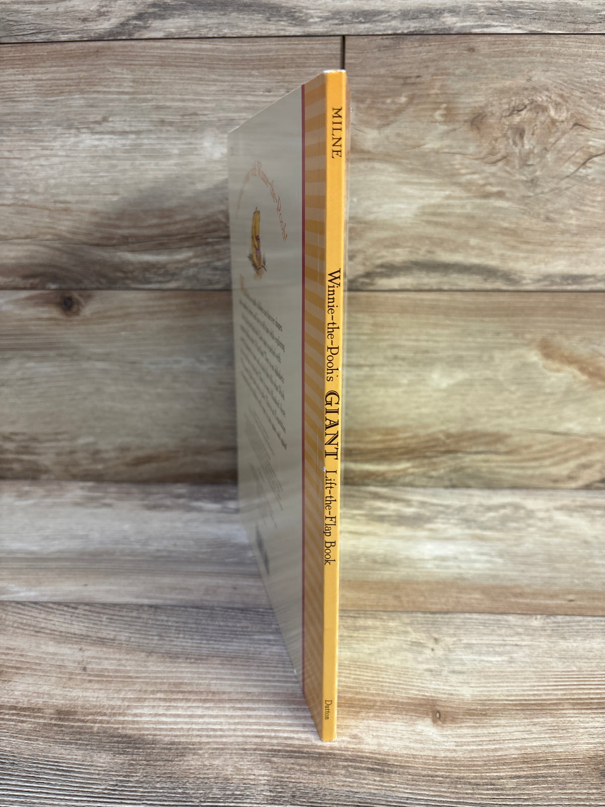 Winnie the Pooh's Giant Lift-the-Flap Hardcover Book