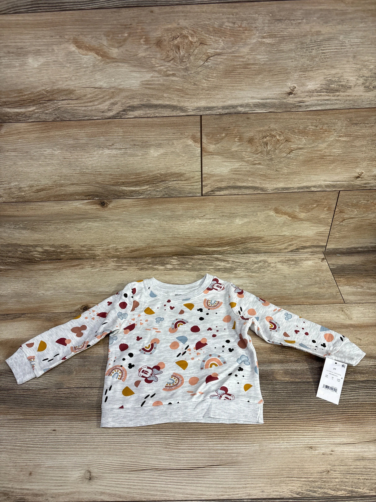 NEW Disney Junior Minnie Mouse Rainbow Sweatshirt Grey sz 2T