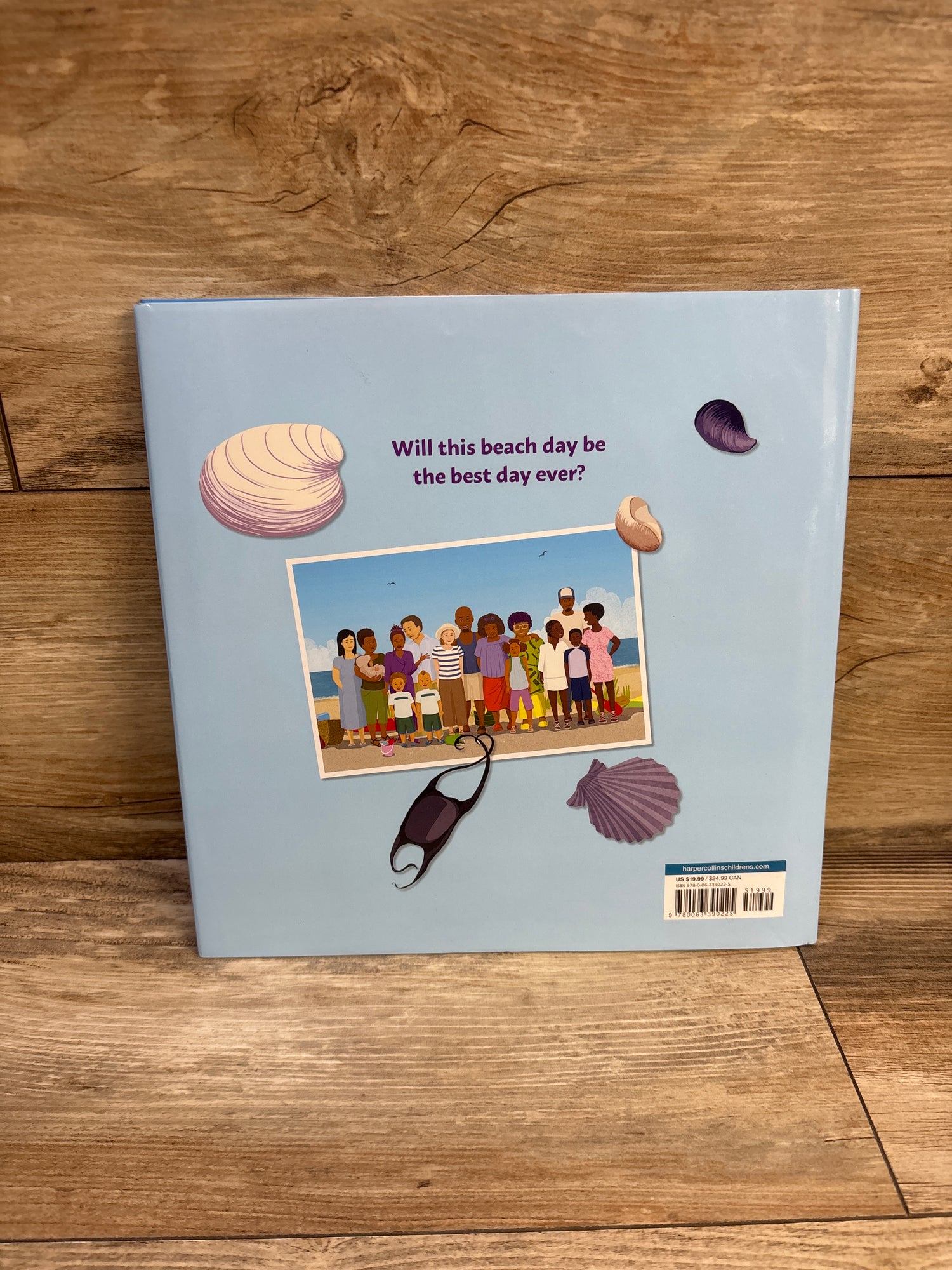 Big Family Beach Day Hardcover Book