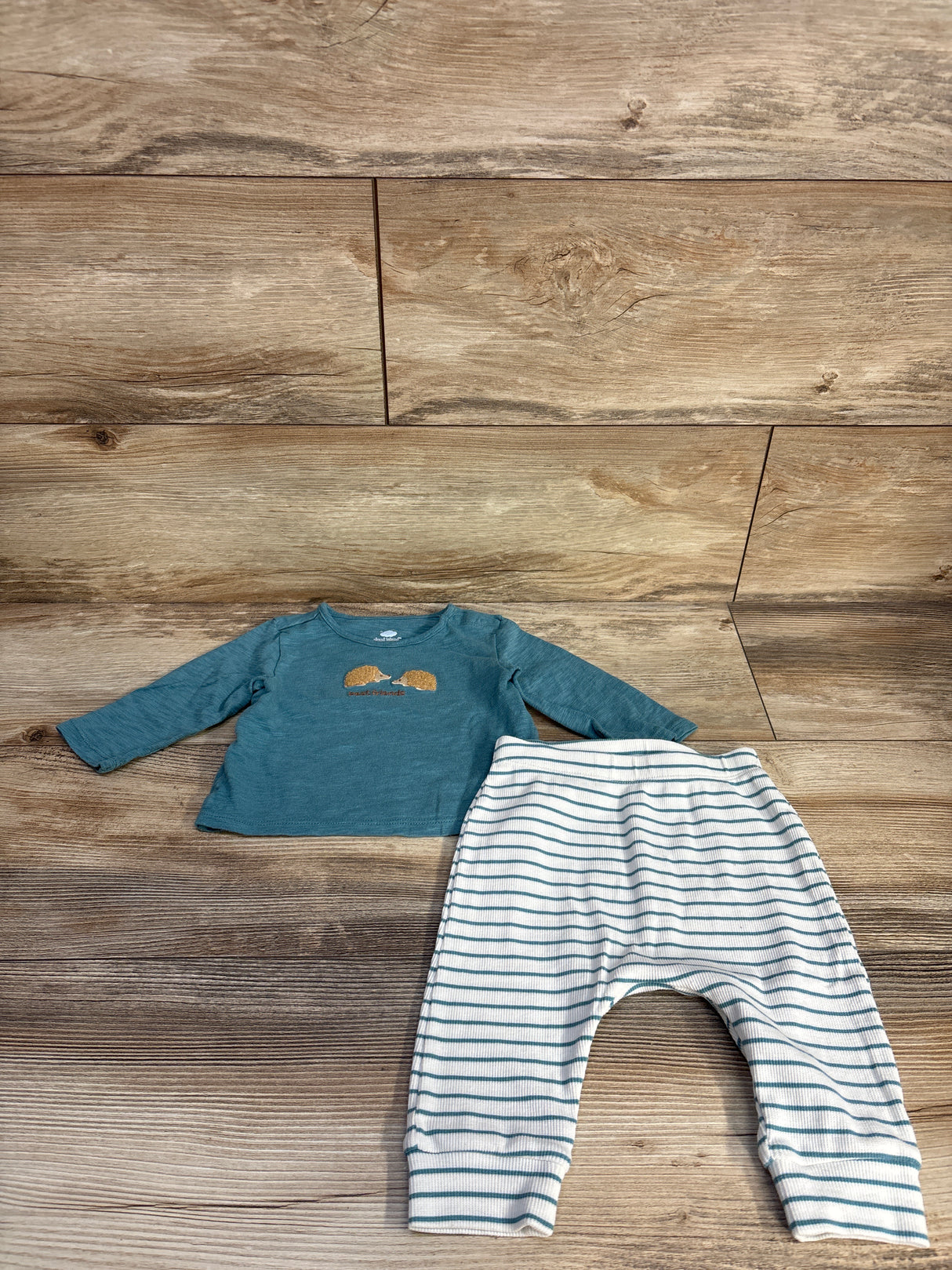 Cloud Island 2pc Porcupine Shirt & Pants Set Blue sz 3-6m