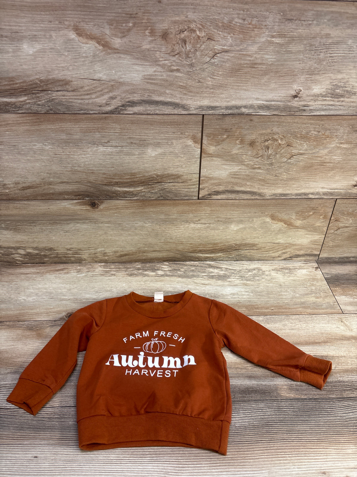UACY Farm Fresh Autumn Harvest Sweatshirt Brown sz 12-18m
