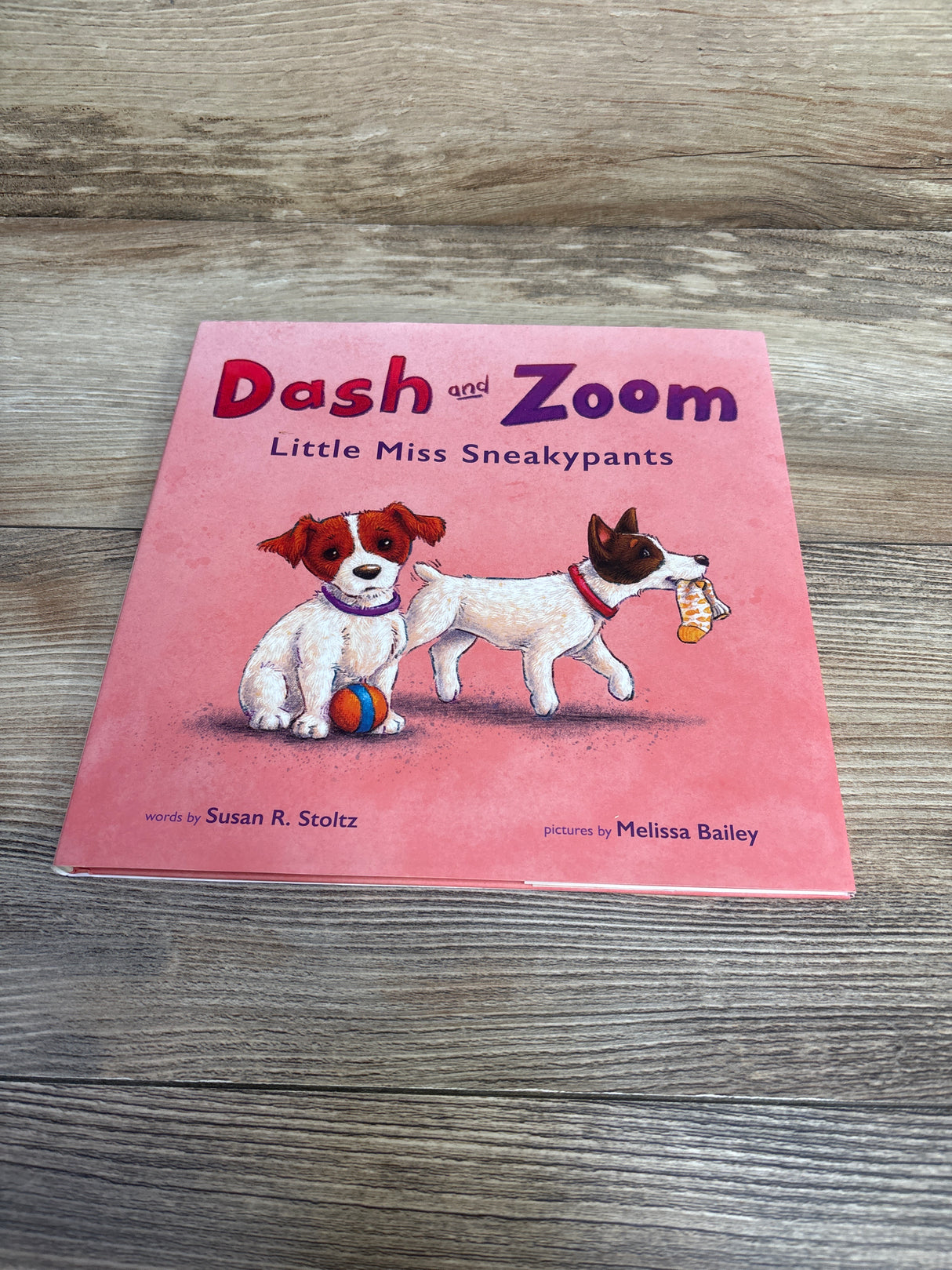 Dash and Zoom Little Miss Sneakypants Hardcover Book