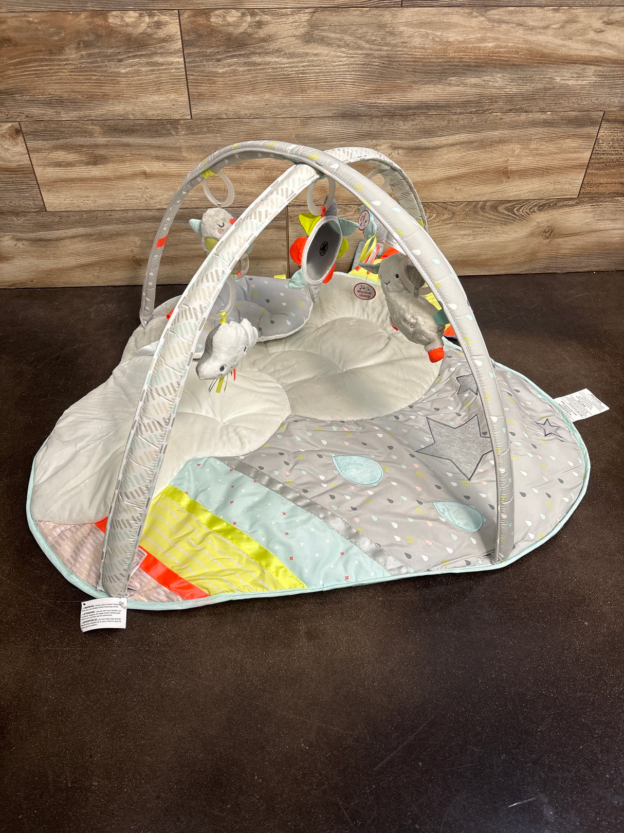 Skip Hop Silver Lining Cloud Activity Gym