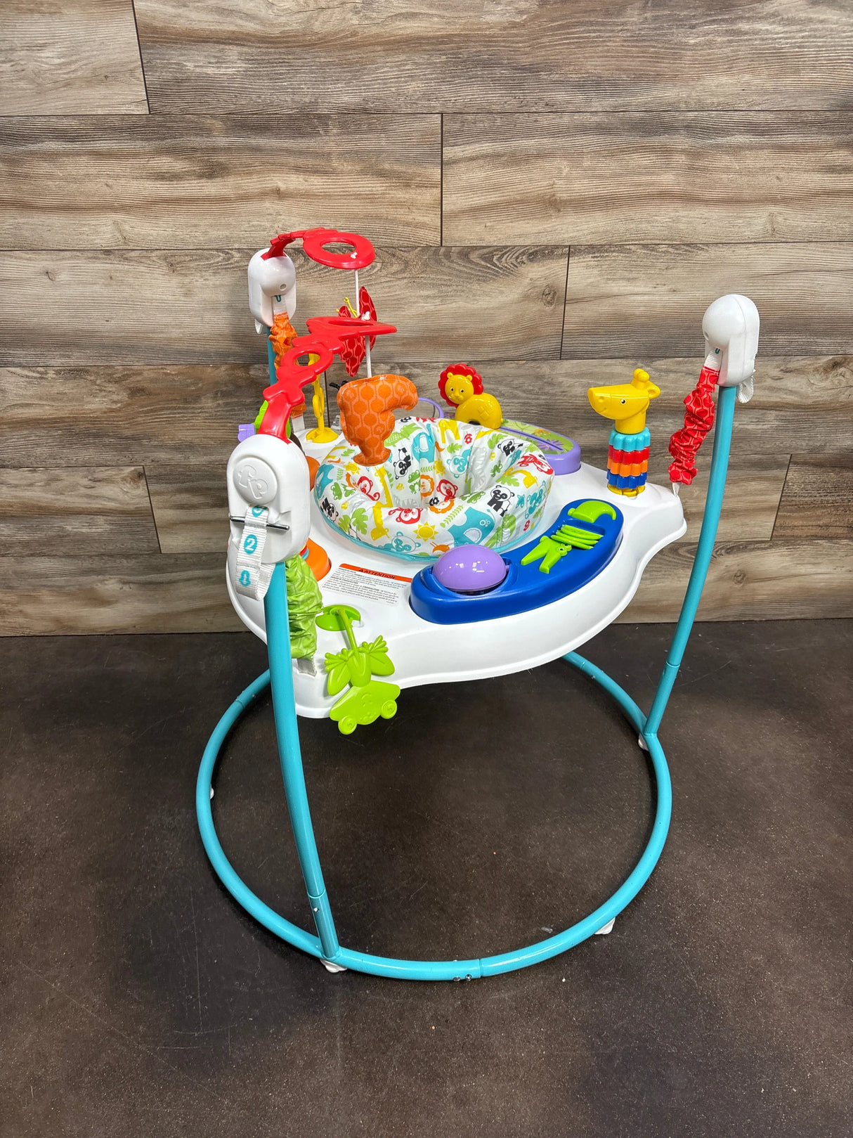 Fisher Price Animal Activity Jumperoo