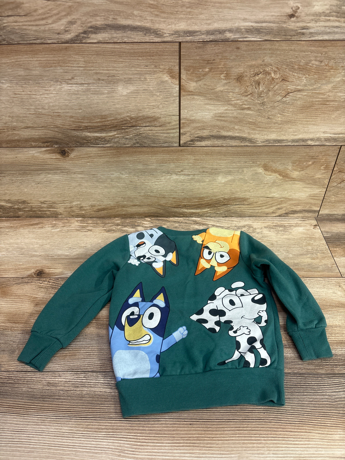 Bluey Pullover Sweatshirt Green sz 2T