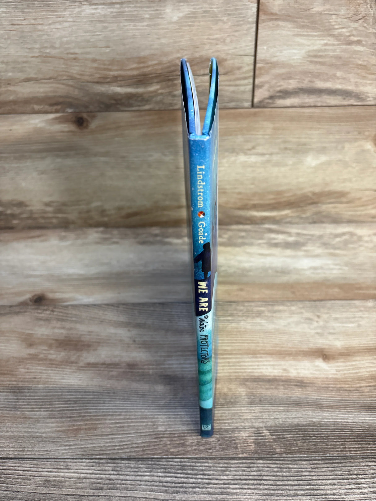 We Are Water Protectors Hardcover Book