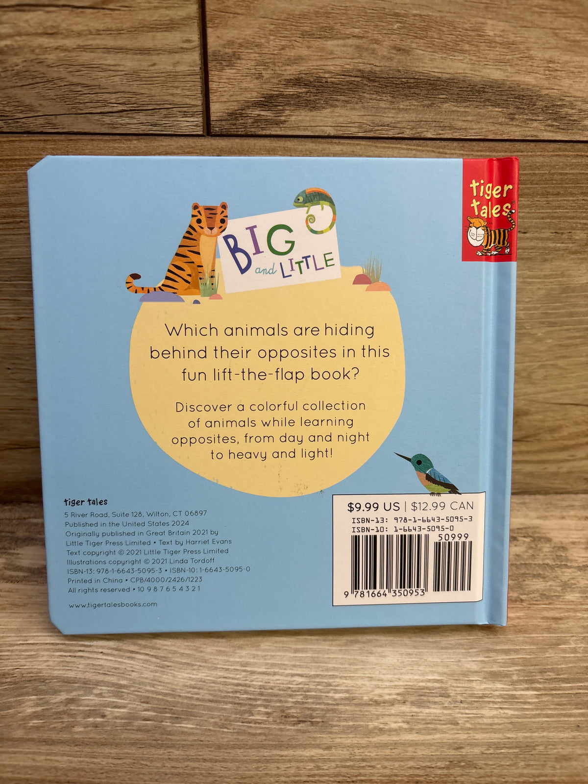 Big and Little: A Book of Animal Opposites Board Book