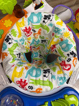 Fisher Price Animal Activity Jumperoo