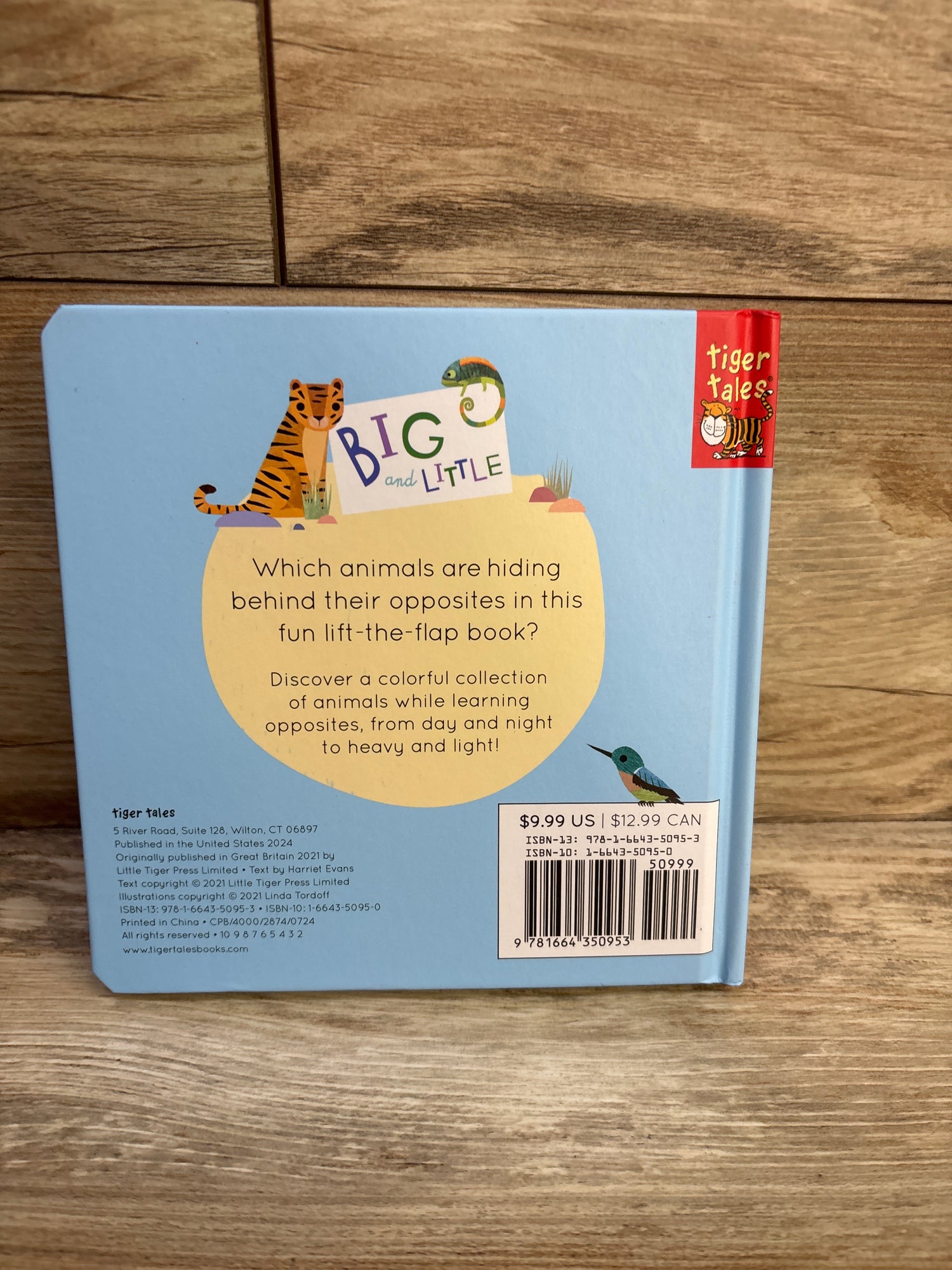 Big and Little: A Book of Animal Opposites Board Book