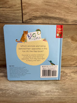 Big and Little: A Book of Animal Opposites Board Book