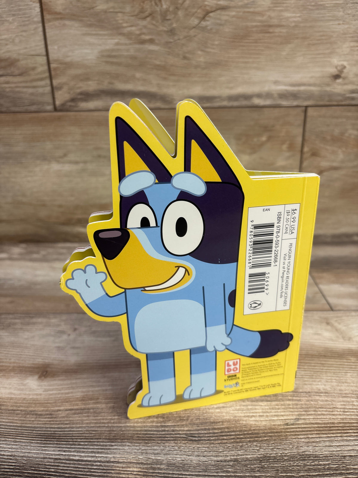 All About Bluey Board Book