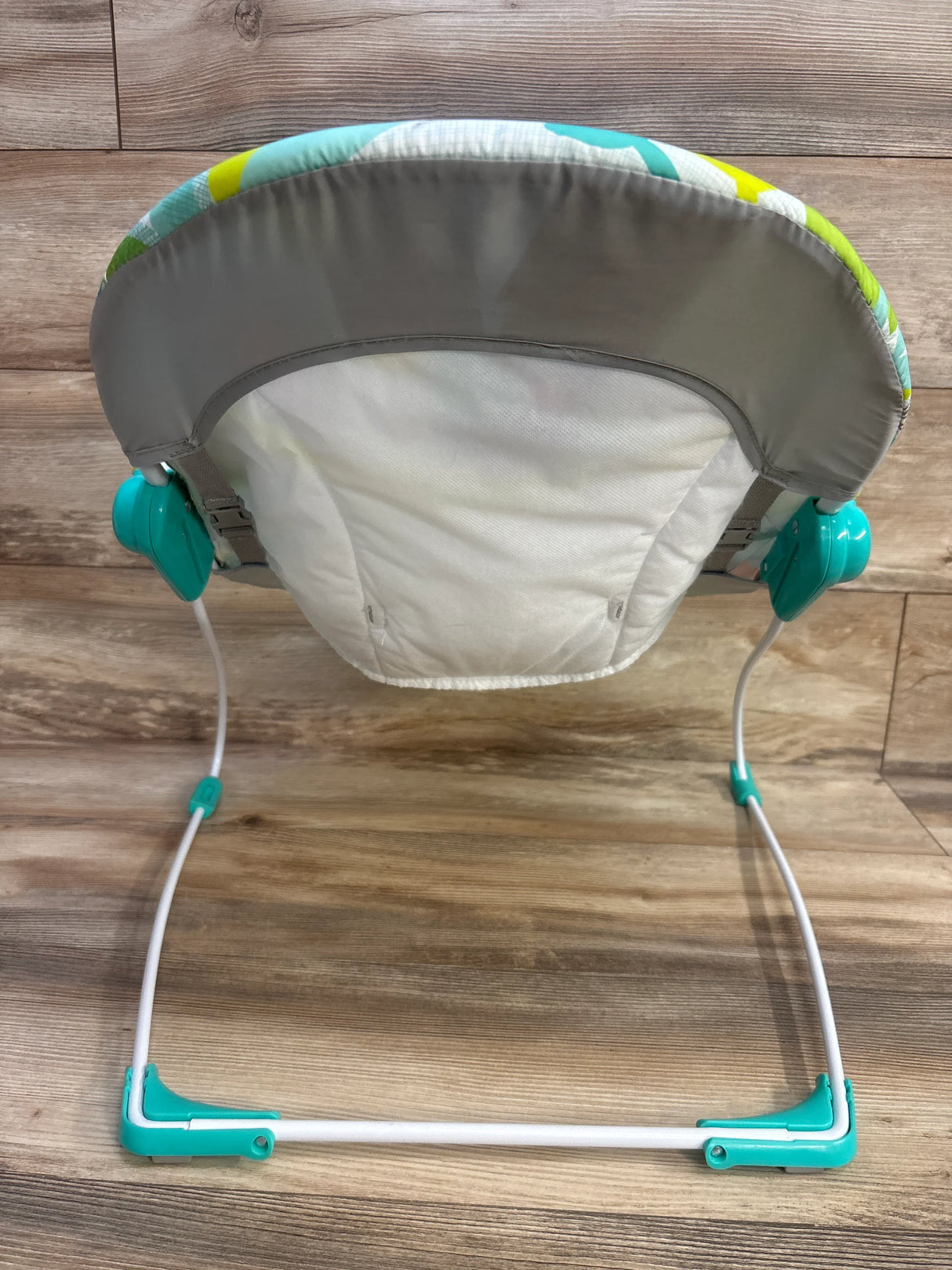 Bright Starts Playful Paradise Vibrating Baby Bouncer - Me n Mommy To Be