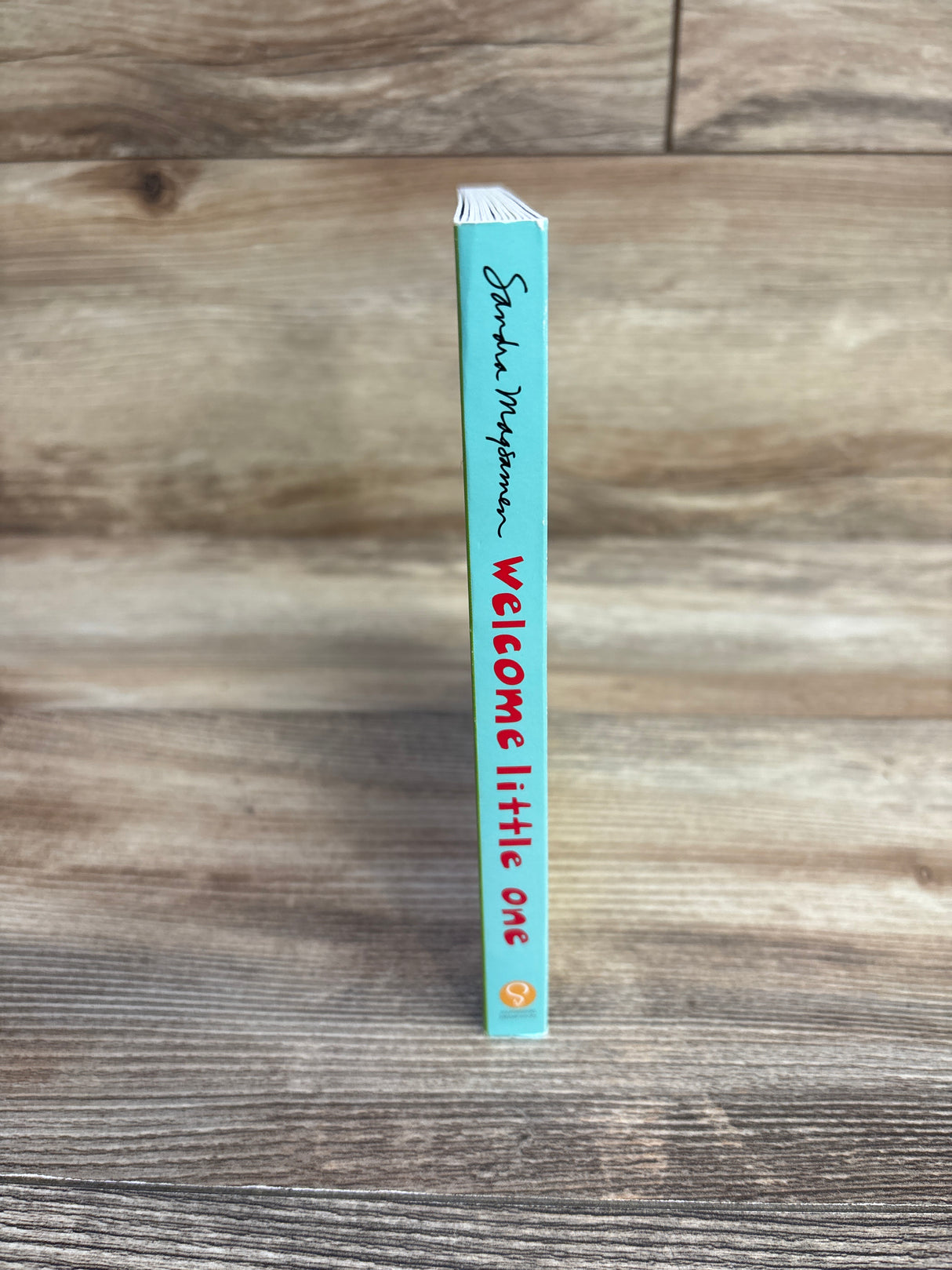 Welcome Little One Board Book
