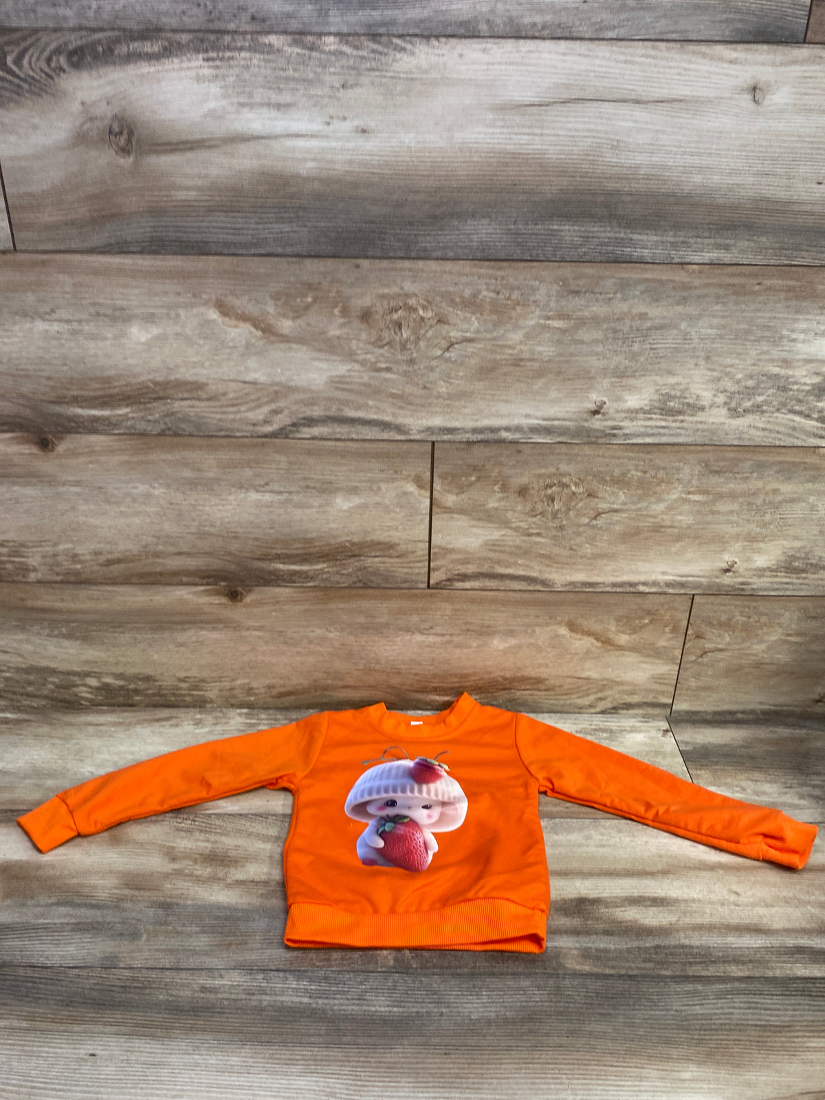 Graphic Pullover Sweatshirt Orange sz 2T