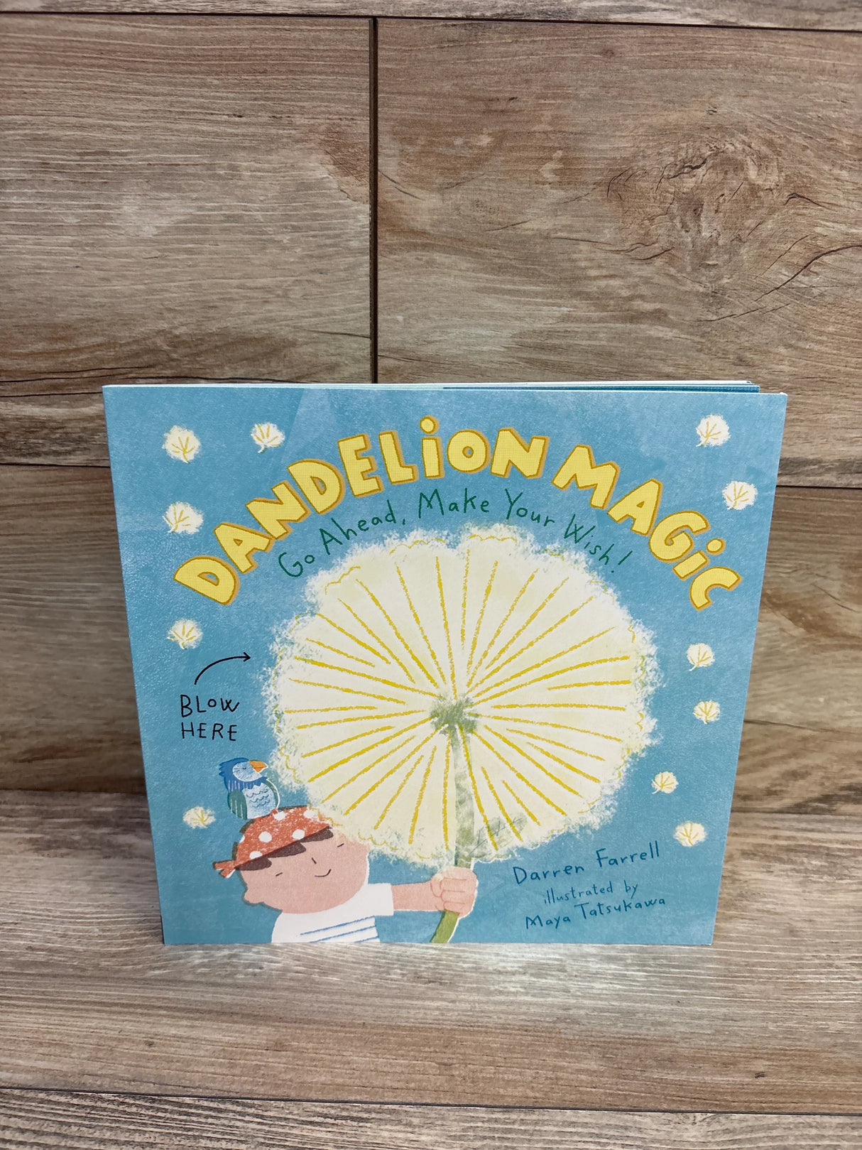 Dandelion Magic Paperback Book