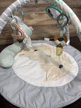 Ingenuity Sheppy’s Spot Ultra Plush Baby Activity Gym