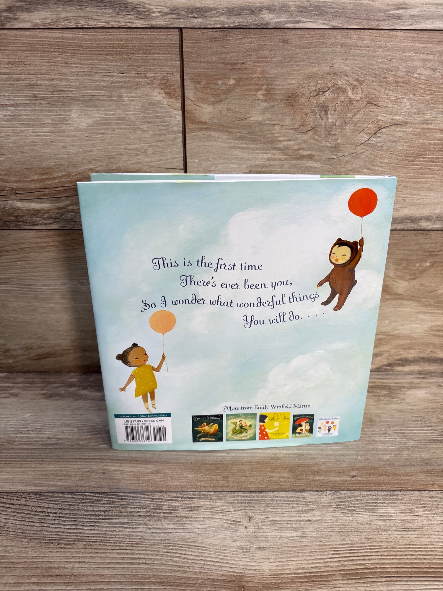 The Wonderful Things You Will Be Hardcover Book