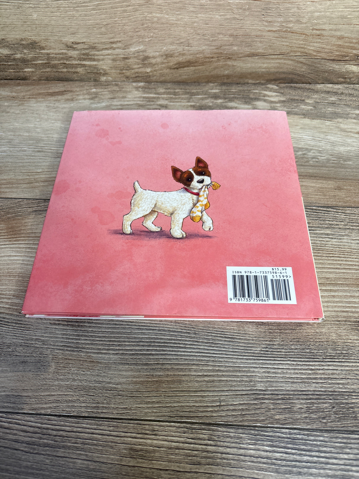 Dash and Zoom Little Miss Sneakypants Hardcover Book