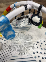 Sassy Stages STEM Developmental Activity Gym - Me n Mommy To Be