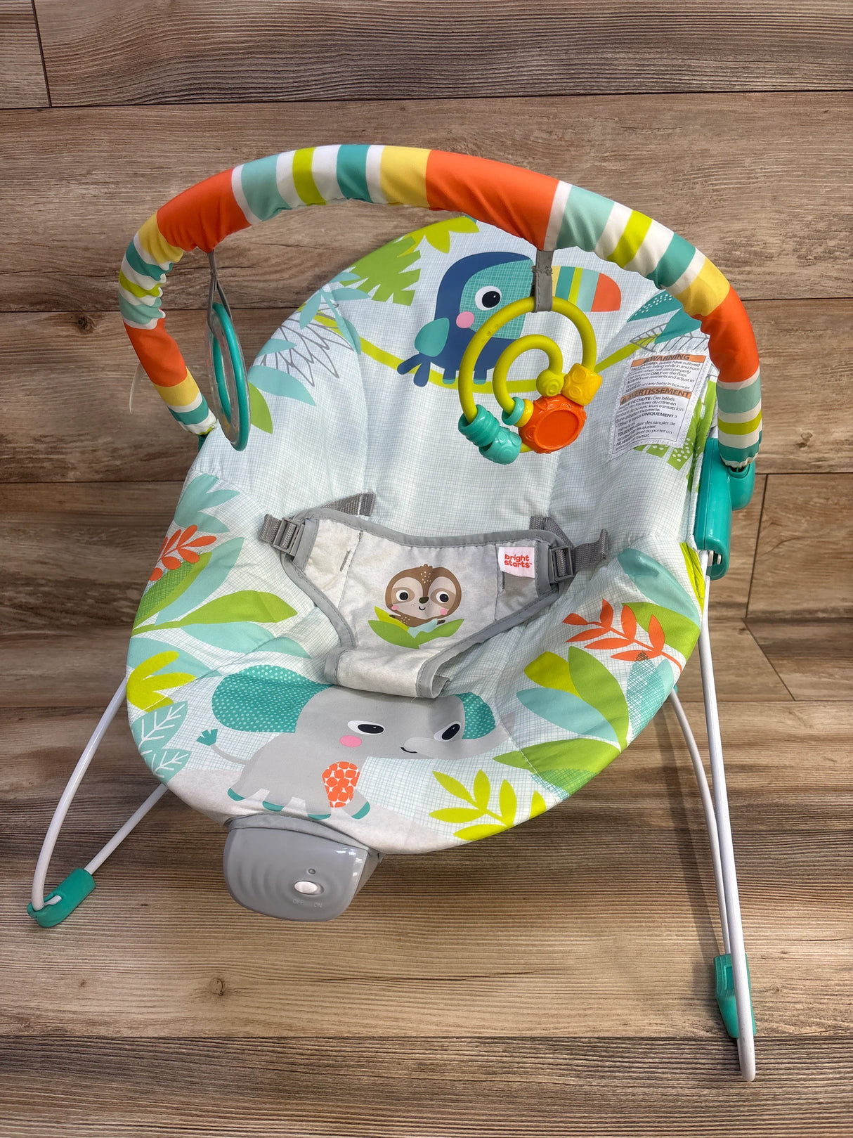 Bright Starts Playful Paradise Vibrating Baby Bouncer - Me n Mommy To Be