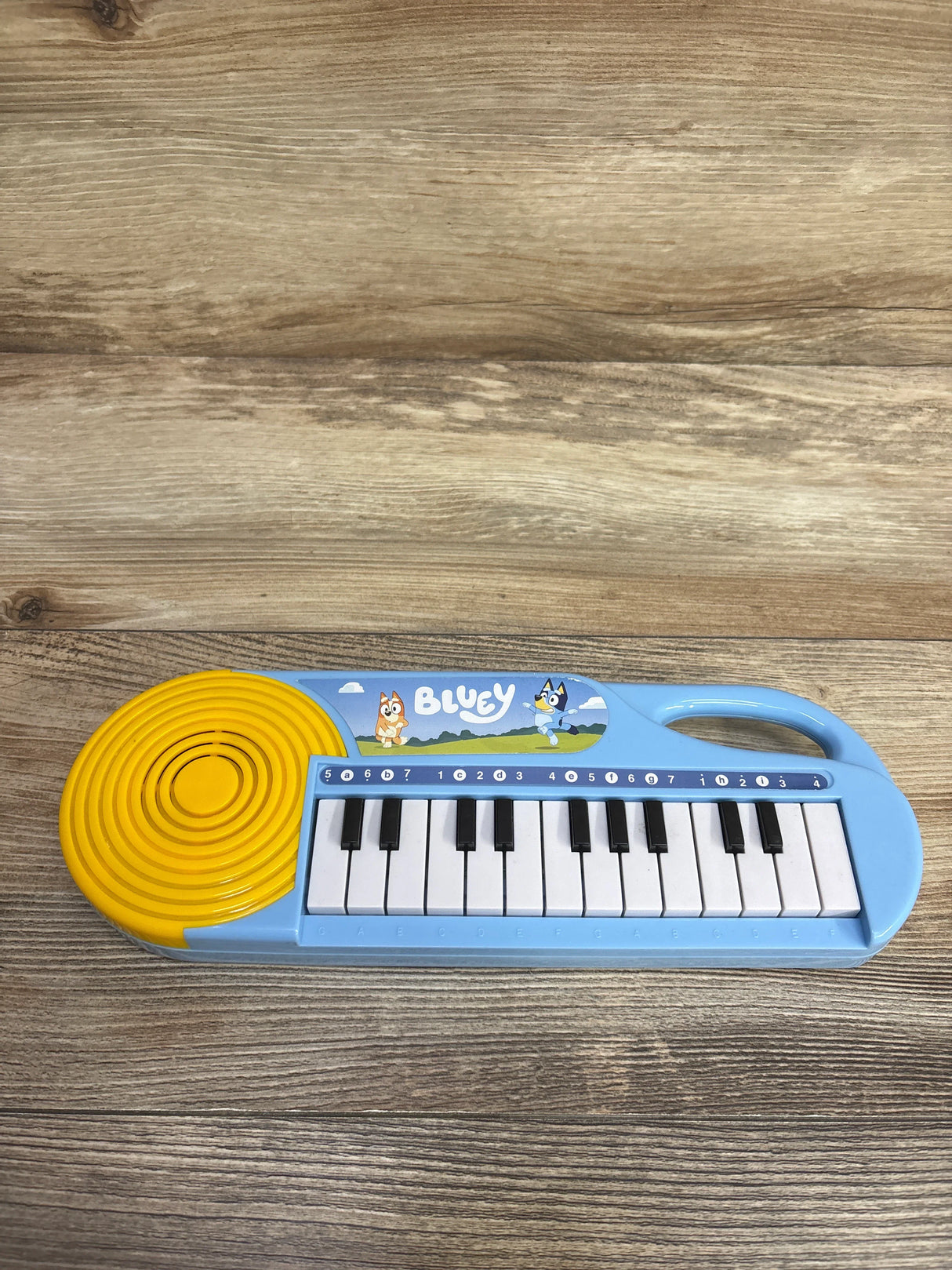 Bluey 23 Note Musical Keyboard