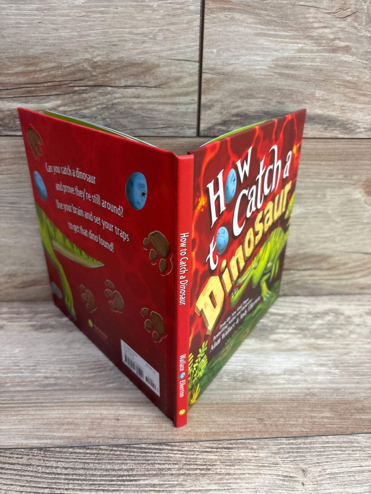 How to Catch a Dinosaur Hardcover Book