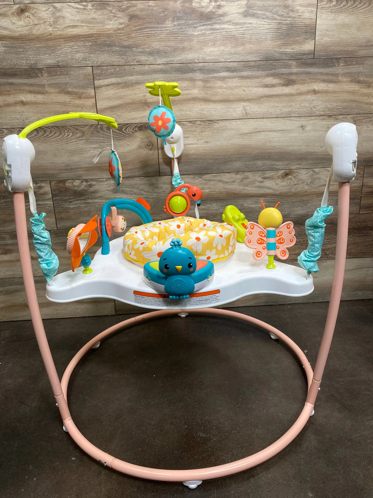 Fisher Price Blooming Fun Jumperoo