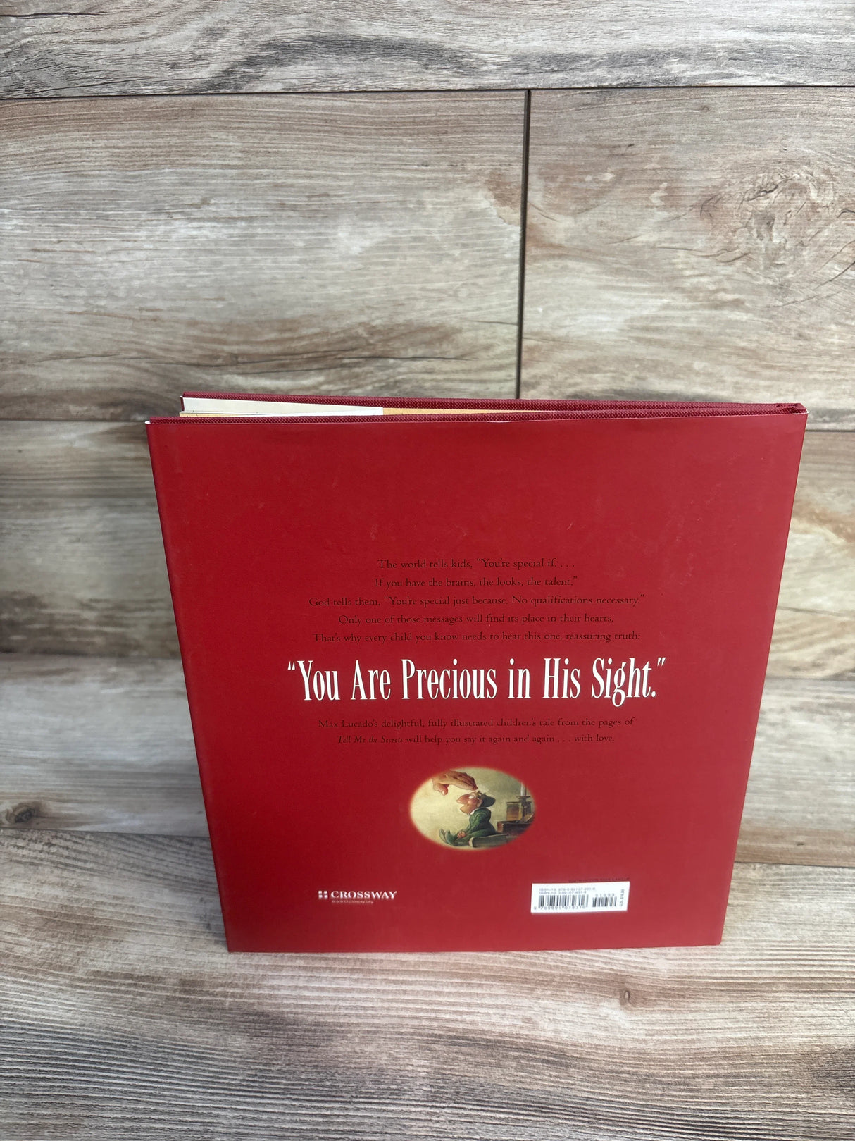 Back cover of children's book with red cover, inspirational text, and illustrated inset.