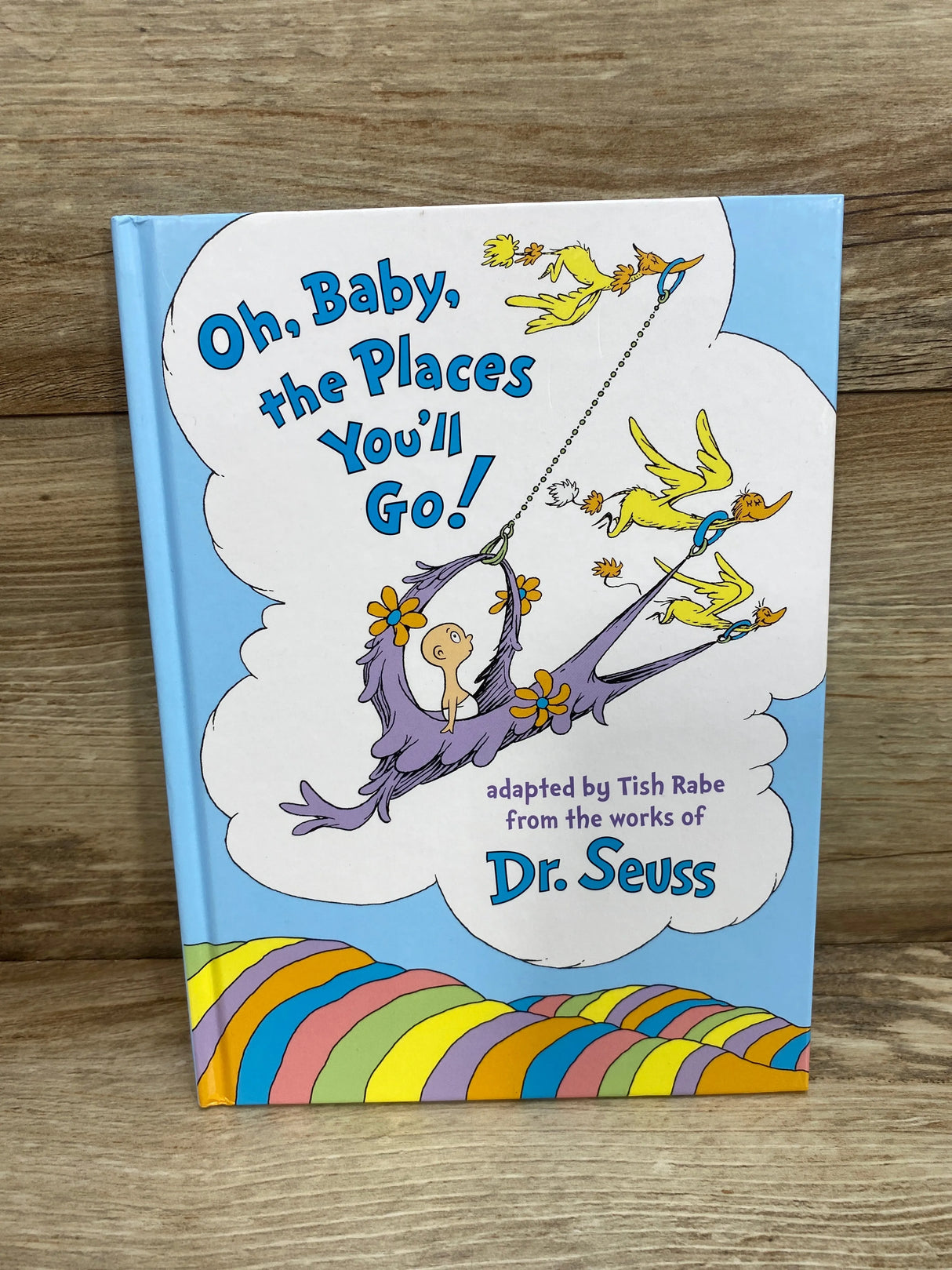 Oh, Baby, the Places You'll Go! Hardcover Book By Tish Rabe