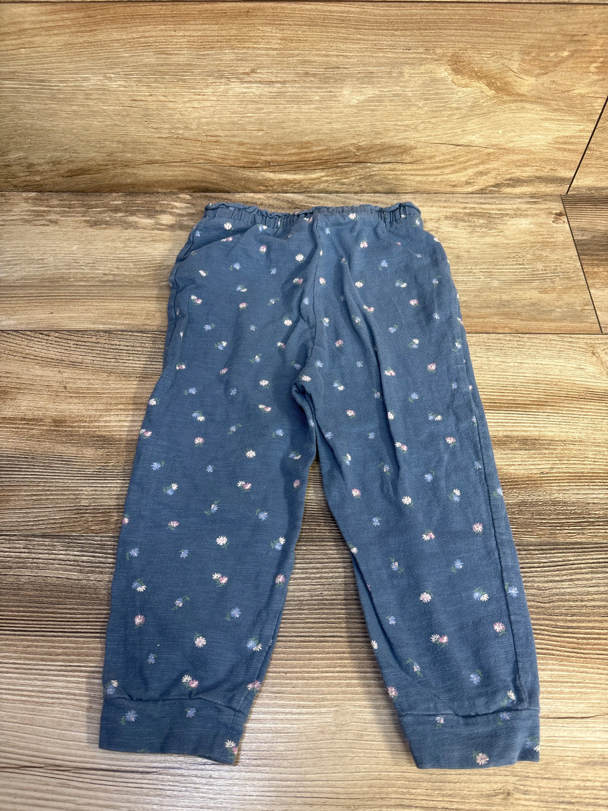Baby Gap Drawstring Floral Joggers Blue sz 2T
